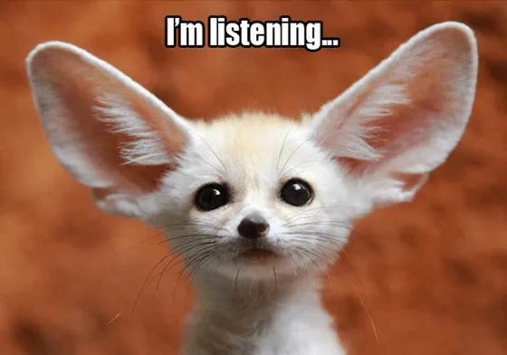 Meme User feedback I m listening